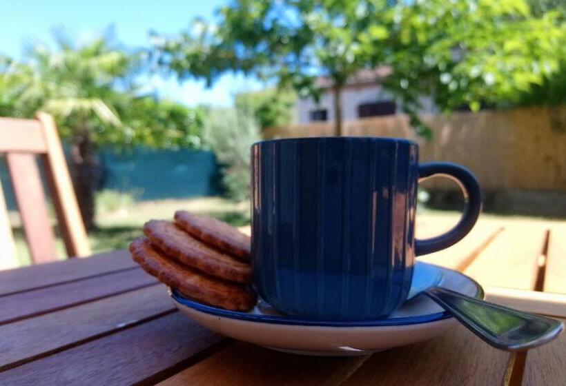 Bed and Breakfast Fleurs De Cosmos