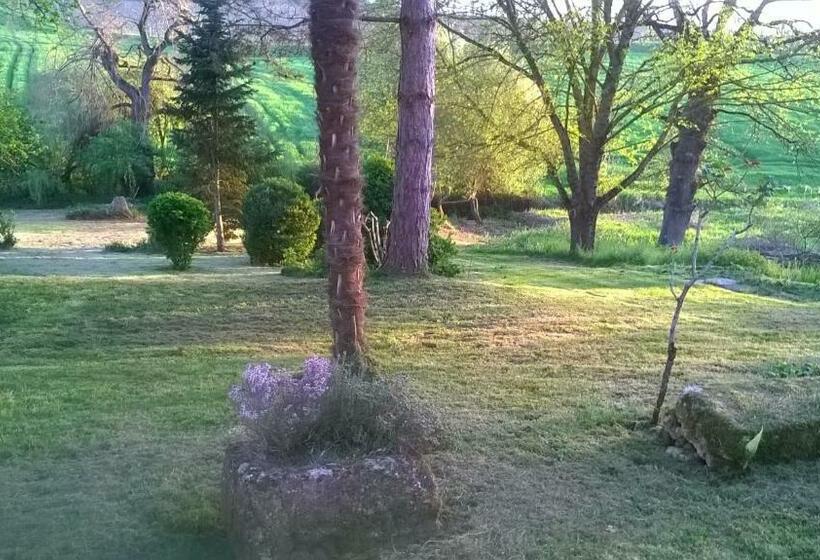 Bed and Breakfast Le Logis Du Pradet