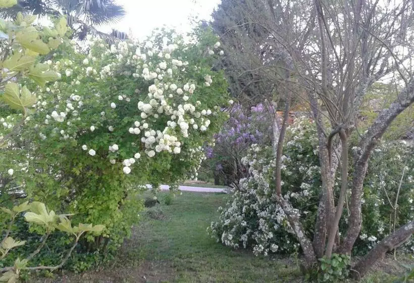 ベッドアンドブレックファースト Le Logis Du Pradet