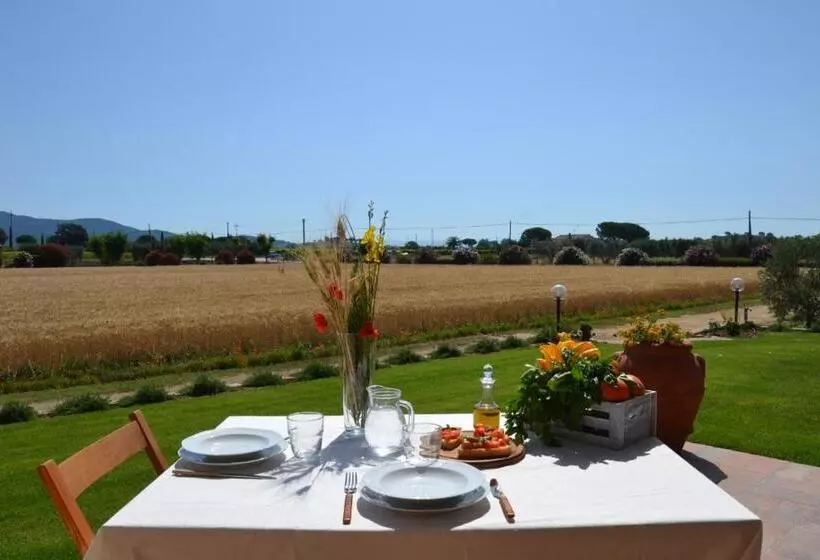 هتل Agriturismo Il Vecchio Mandorlo