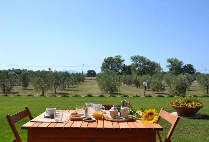 هتل Agriturismo Il Vecchio Mandorlo