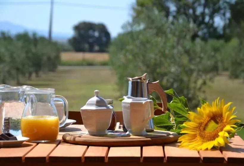 هتل Agriturismo Il Vecchio Mandorlo