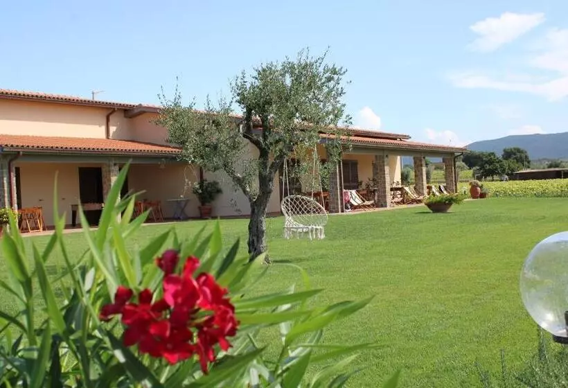 هتل Agriturismo Il Vecchio Mandorlo