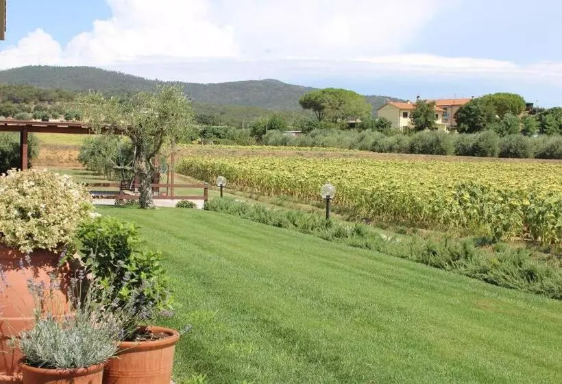 هتل Agriturismo Il Vecchio Mandorlo