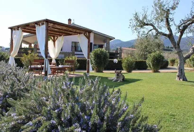 هتل Agriturismo Il Vecchio Mandorlo