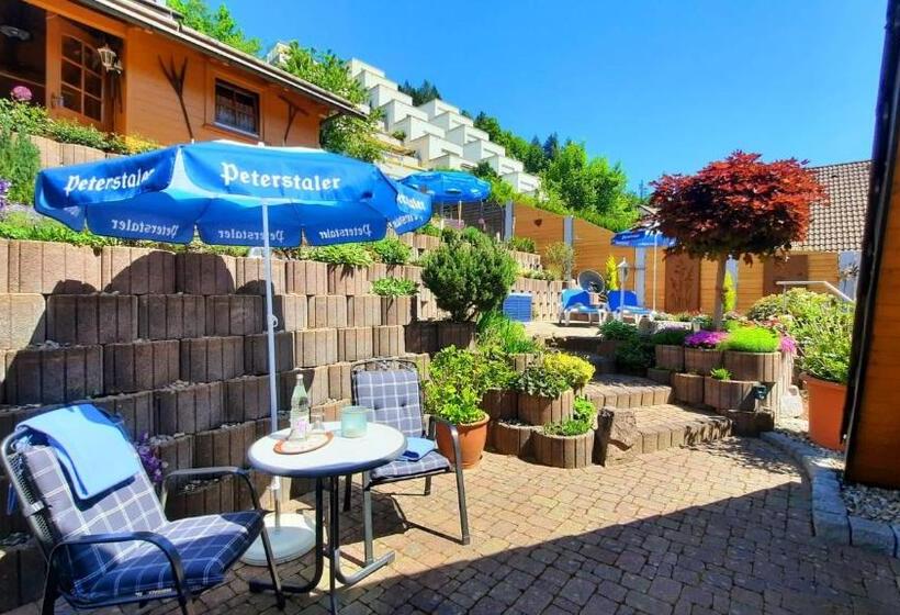 Пансион Gästehaus Haaser