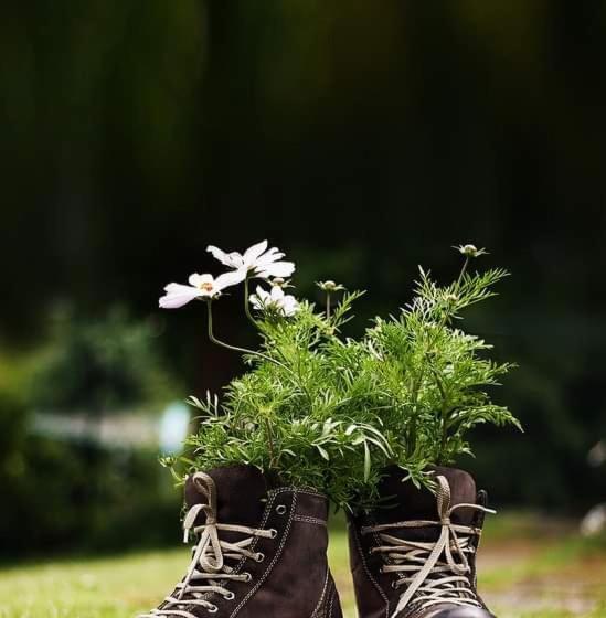 Пансион Gästehaus Haaser