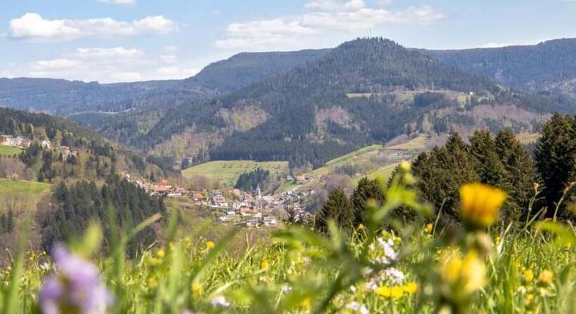 Пансион Gästehaus Haaser