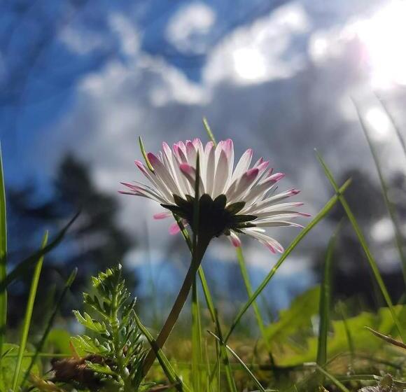 Пансион Gästehaus Haaser
