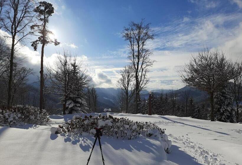 Пансион Gästehaus Haaser