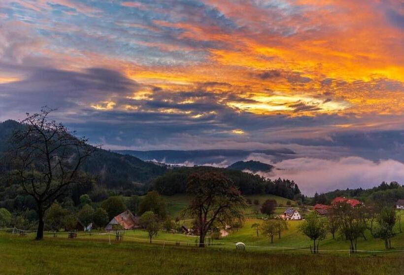 Пансион Gästehaus Haaser