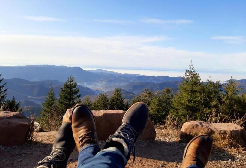 Пансион Gästehaus Haaser