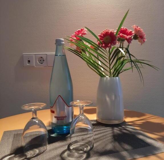 Пансион Gästehaus Haaser