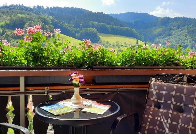 Пансион Gästehaus Haaser