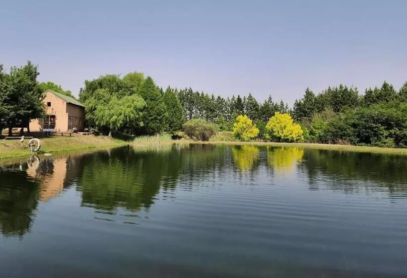 Majatalo Schaefers  Halt