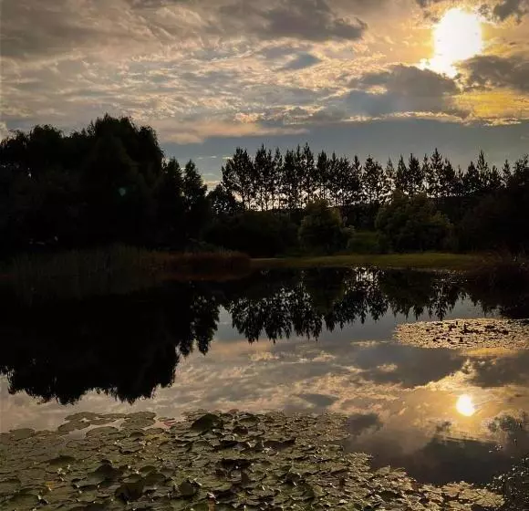 Majatalo Schaefers  Halt