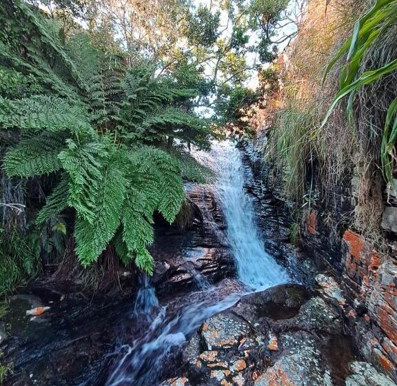 بنسيون Schaefers  Halt