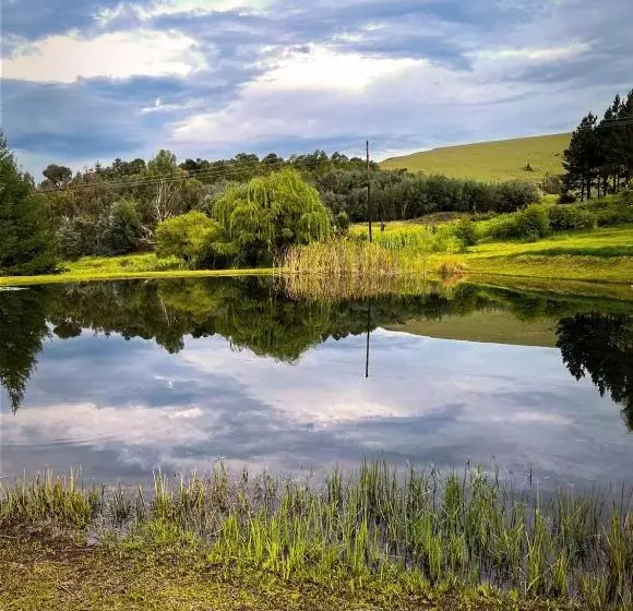 Majatalo Schaefers  Halt