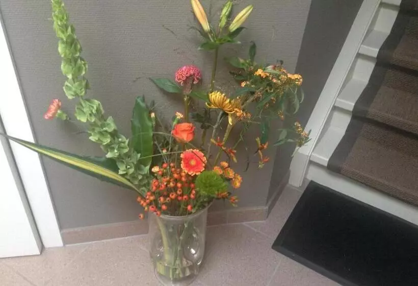 Majatalo Studio Gardenroom Guesthouse De Steenberg Met Tuinzicht