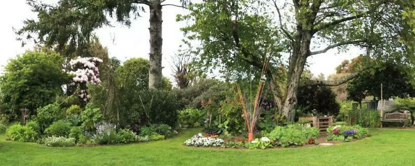 The Birch Tree B&b