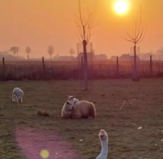 B&b Clogher Farm
