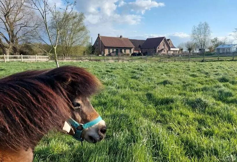 B&b Clogher Farm