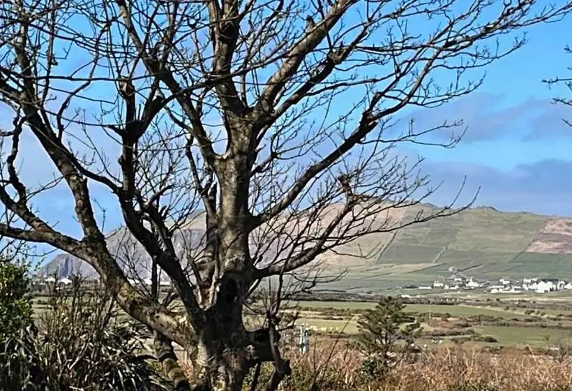 Granville House Apartments & Glamping Site