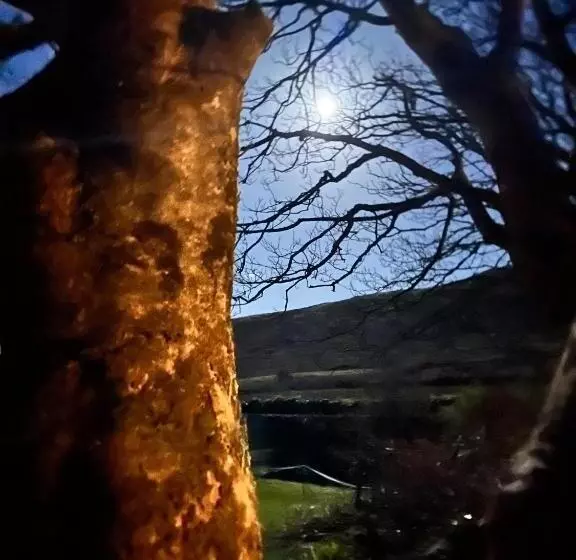 Granville House Apartments & Glamping Site