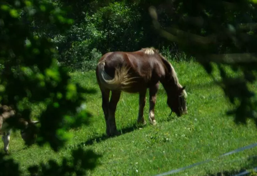 Majatalo La Tiny Des 3 Pics