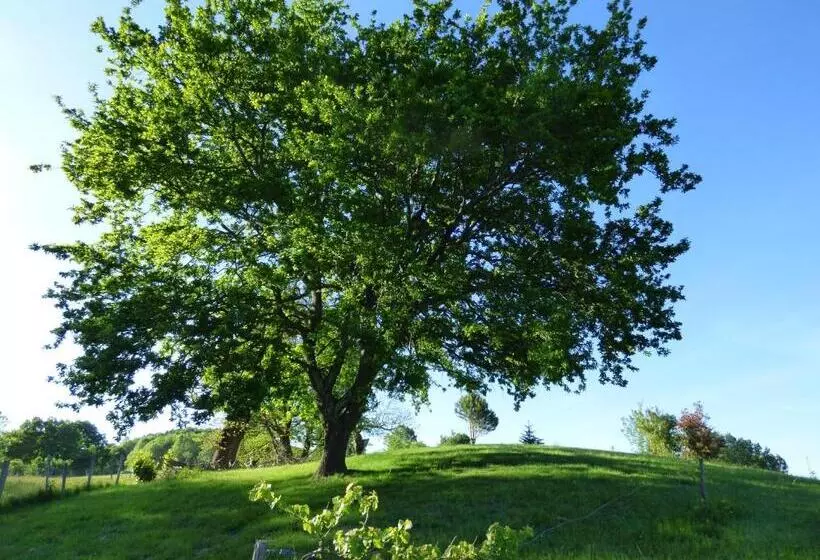 Majatalo La Tiny Des 3 Pics