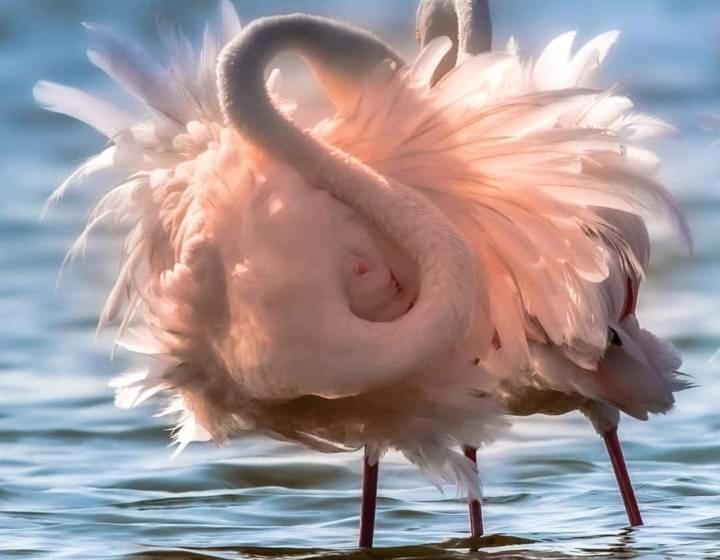 펜션 Le Mazet De L Amathye