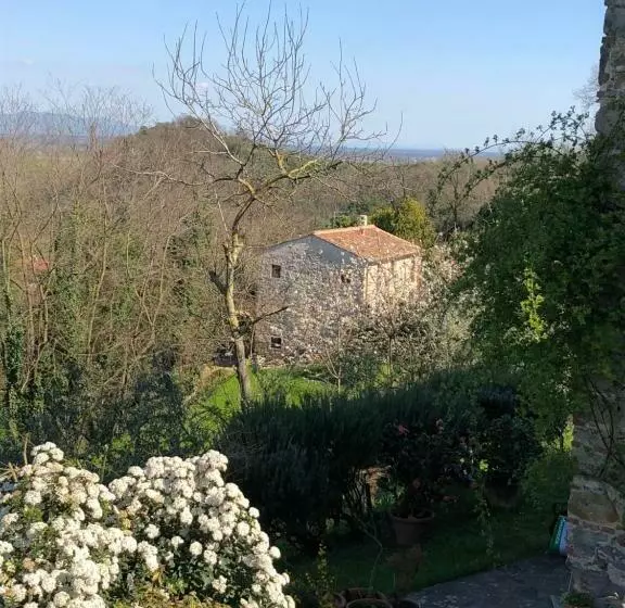 Dolce Vita In Tuscany B&b
