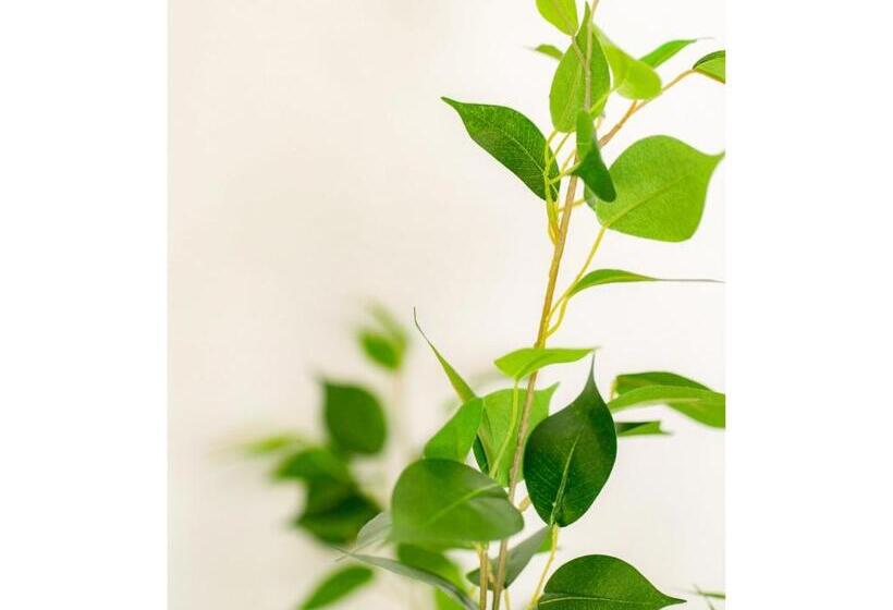 Majatalo Aiwa Mansion / Vacation Stay 80383