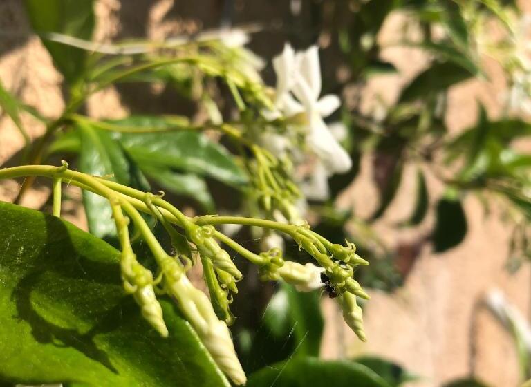פנסיון Aux Balcons Du Riou Avec Vue Mer 180 Degrés