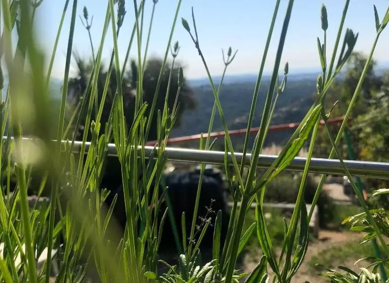 ペンション Aux Balcons Du Riou Avec Vue Mer 180 Degrés