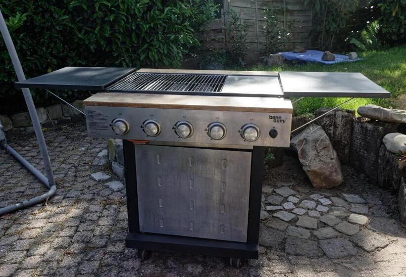 Pensió Op De Smelen 1   43 M2