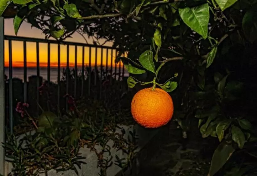 Aamiaismajoitus (B&B) Il Cuoco Pescatore, Ittiturismo Lecardònaie Du Pescòu