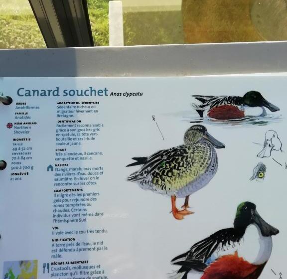 مبيت وإفطار Villa Bretonne