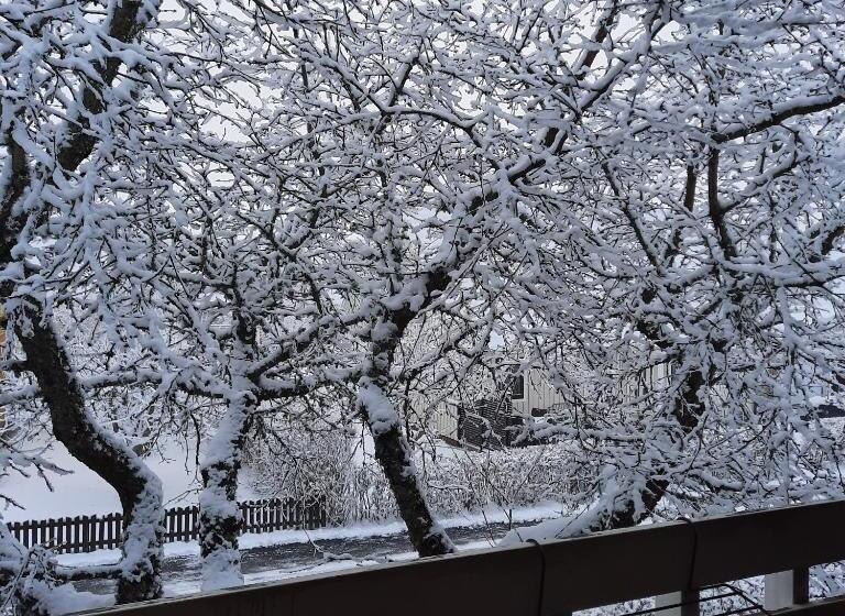 Naturnära Enkel Rum B&b I Uppsala Ramstalund