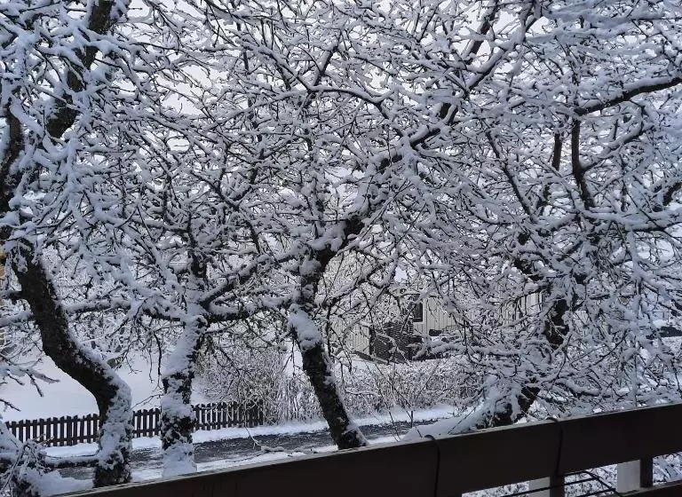 Naturnära Enkel Rum B&b I Uppsala Ramstalund