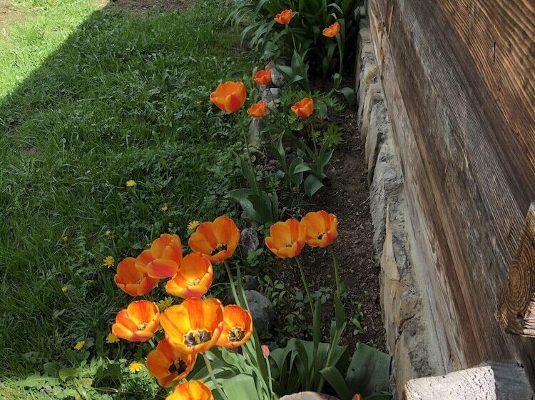 ベッドアンドブレックファースト Chalet Sur Les Monts Morzine