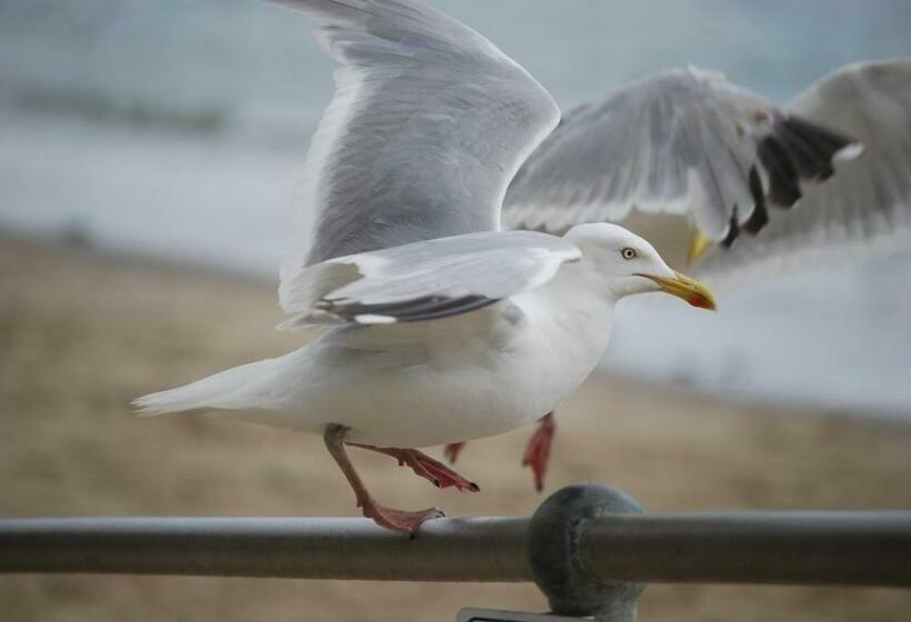 فندق The Greenwich Rooms Burger & Bird Bar & Restaurant