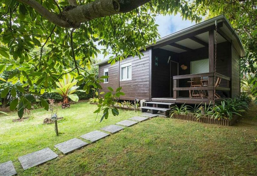 پانسیون Casa Das Clivias