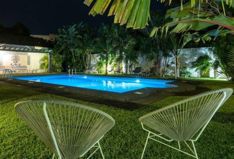 پانسیون Casa Das Clivias