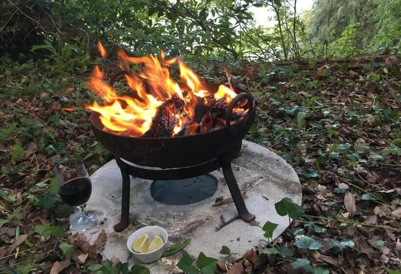 Riverbank House Bed And Breakfast Innishannon