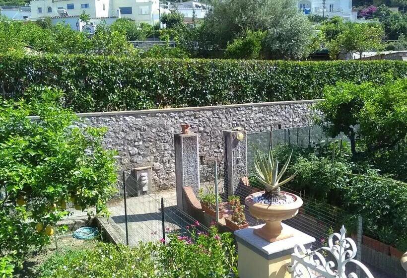 تختخواب و صبحانه U  Pizzico