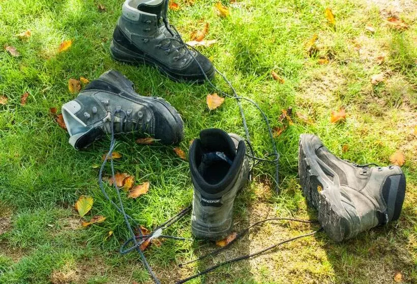 Bed & Breakfast De Schuur Inn