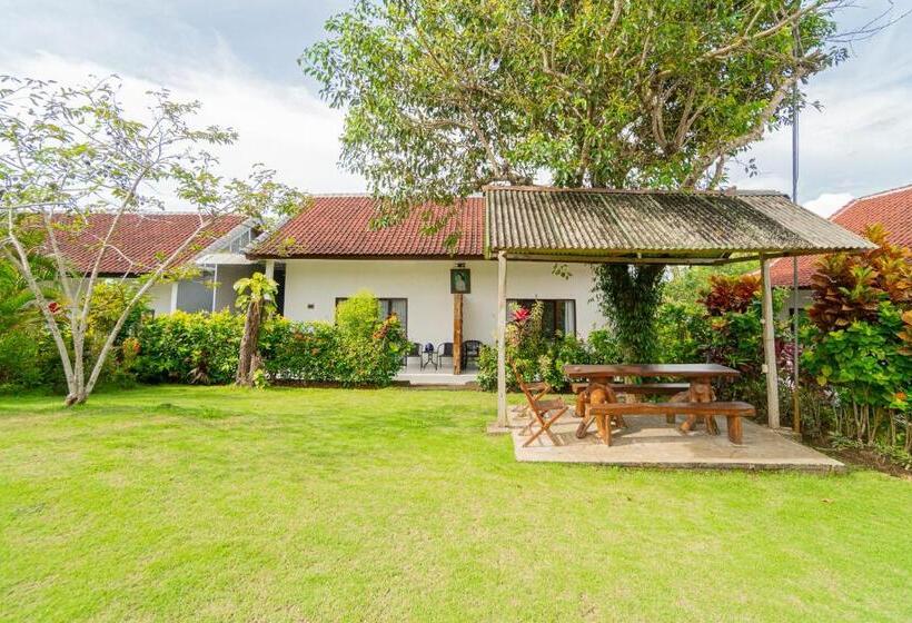 پانسیون Dream Breeze Village