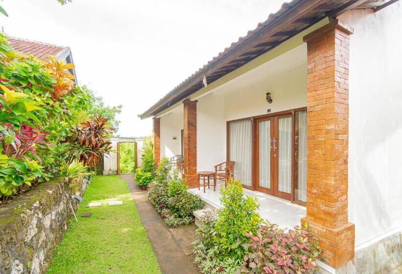 پانسیون Dream Breeze Village