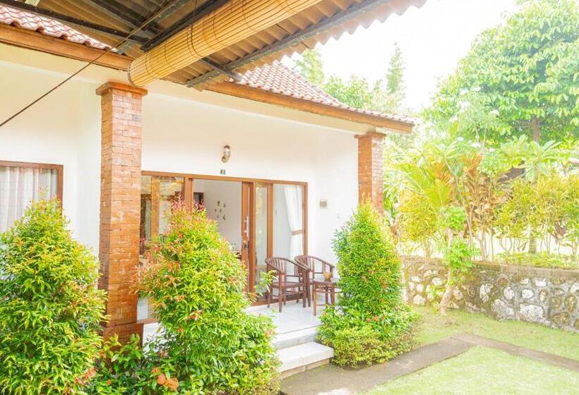 پانسیون Dream Breeze Village